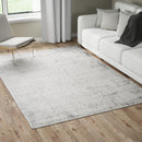 Tapis de Salon Gris